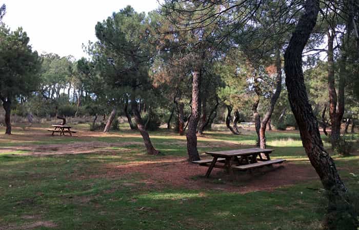 Área recreativa del Parque Regional de la Cuenca Alta del Manzanares, en Madrid