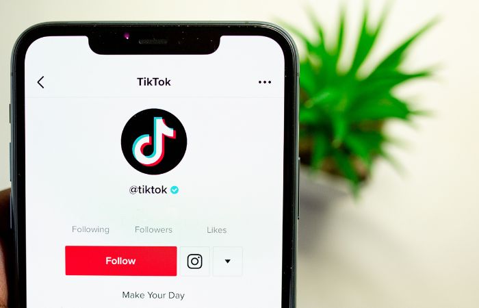 redes sociales: TikTok