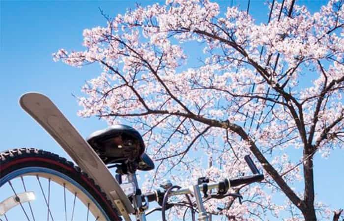 Planes con niños: Ruta primaveral en bici