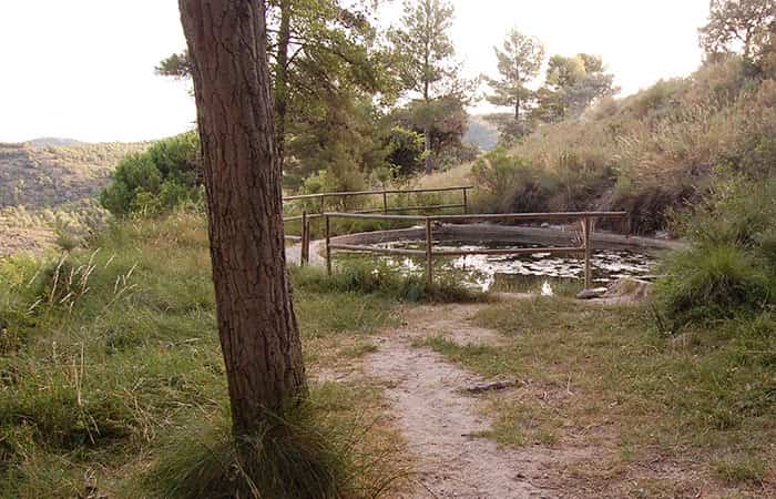 Sendero Botánico del Reconco, Biar, Alicante