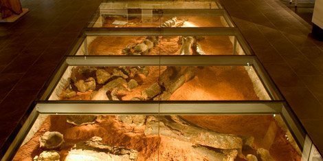 Museo Paleontológico de Alpuente en Valencia