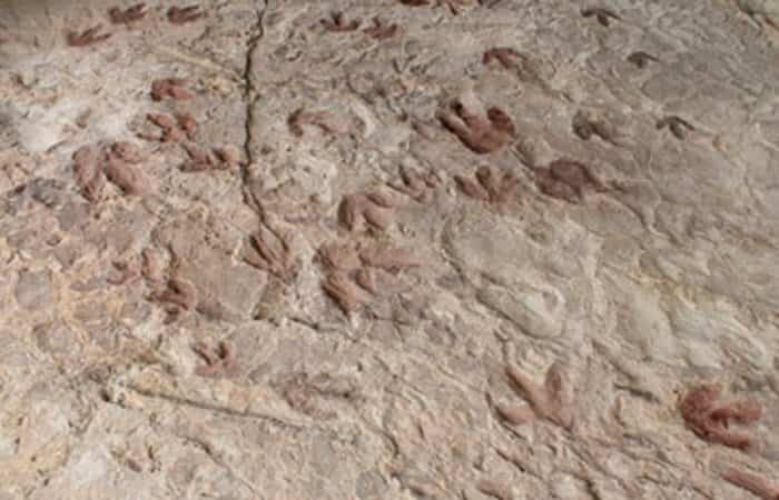 Huellas del Museo Paleontológico de Alpuente