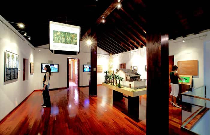 Museo del Palmeral