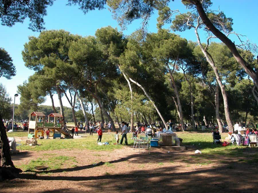 Parque del Pinar de Castellón