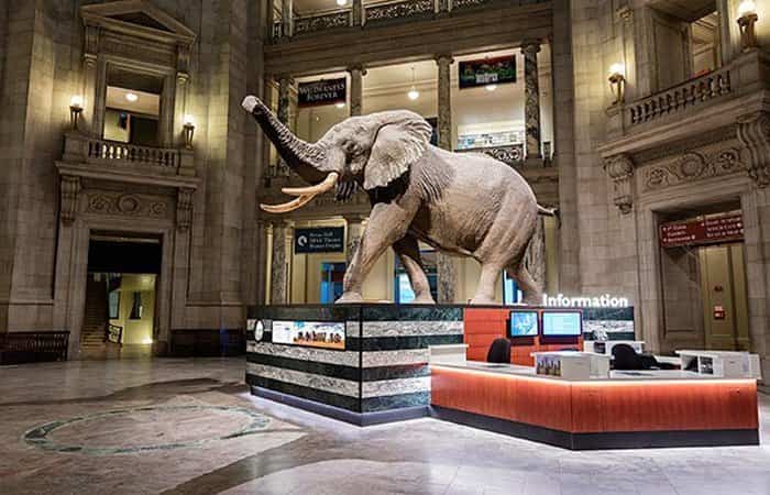 Museo de Historia Natural de Washington, Estados Unidos
