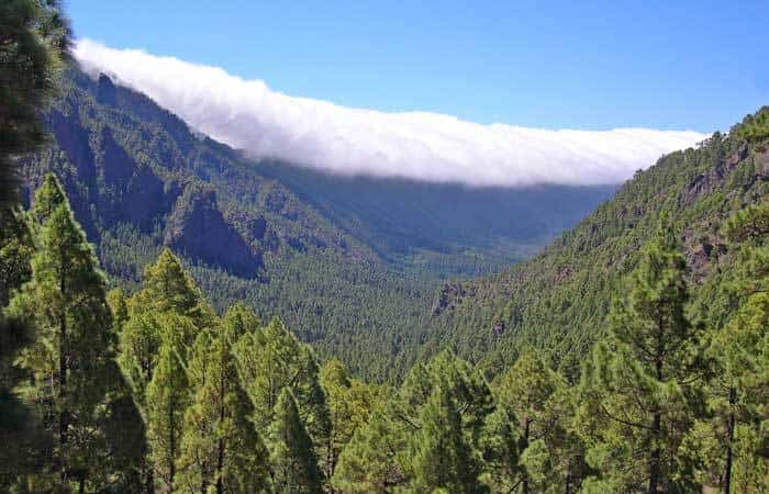 Parque Natural de la Corona Forestal en Tenerife