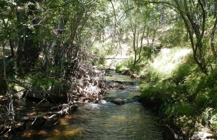 Pozas Naturales del río Madarquillos en Horcajo de la Sierra-Aoslos, Madrid