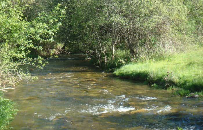 Pozas Naturales del río Madarquillos
