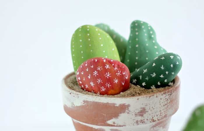 manualidades con cactus piedras