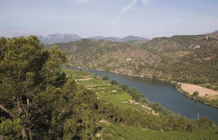 Camino del Ebro