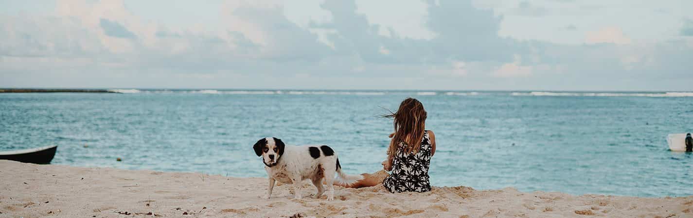 Playas a las que puedes ir con perro