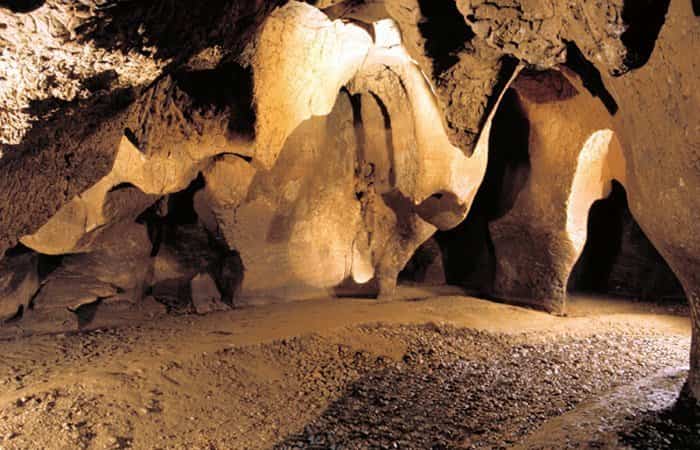 Parque Prehistórico Cuevas del Toll