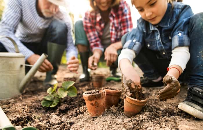 5 Consejos para convertir en jardineros a toda la familia