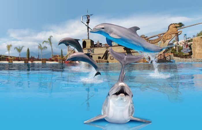 Show delfines Mundomar