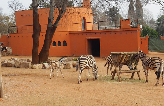 Parque Zoológico de Córdoba