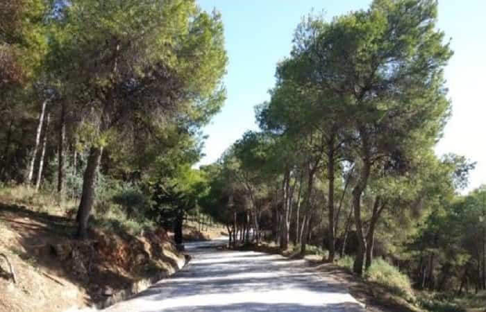 Parque Forestal El Morlaco en Málaga