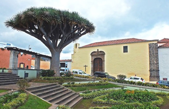 Plaza y jardines de San Francisco. Ruta de los Dragos de La Orotava, en Tenerife