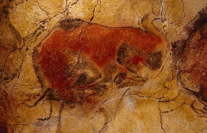 Bisonte recostado en la Cueva de Altamira