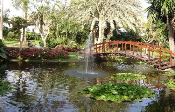 Jardín del Hotel Botánico en Tenerife