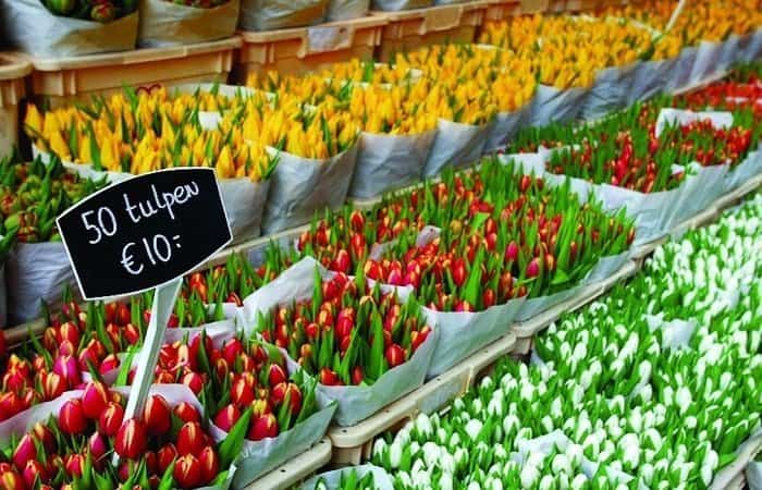 Mercado de las flores | Viajar a Ámsterdam con niños