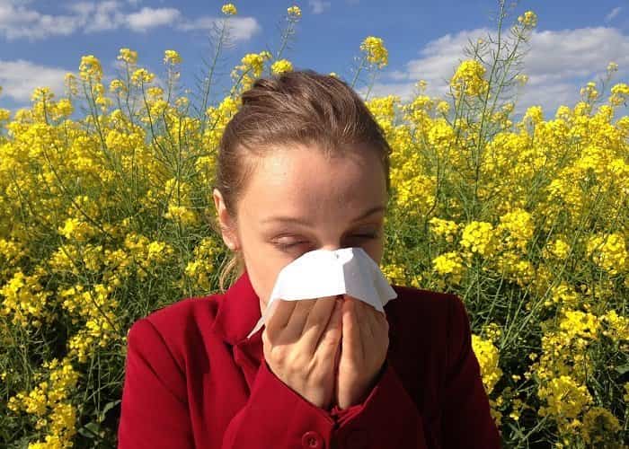 las alergias