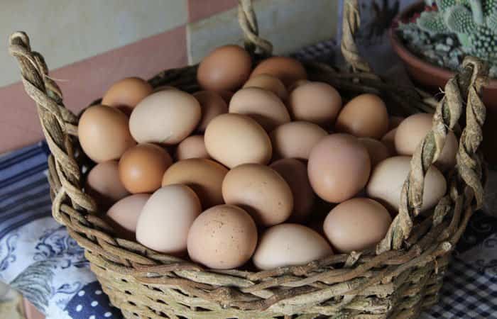 Precauciones que hay que tener con el consumo de huevos en verano