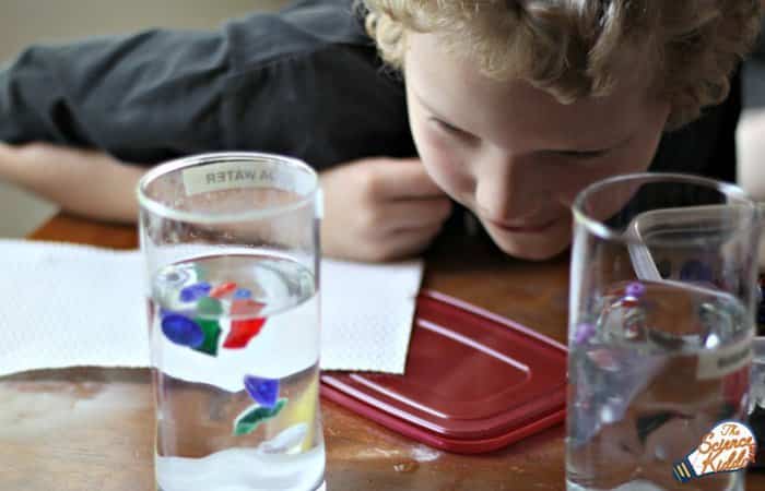 experimentos con agua para niños salada