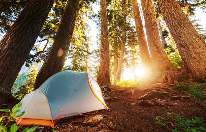 Camping en un Parque Nacional