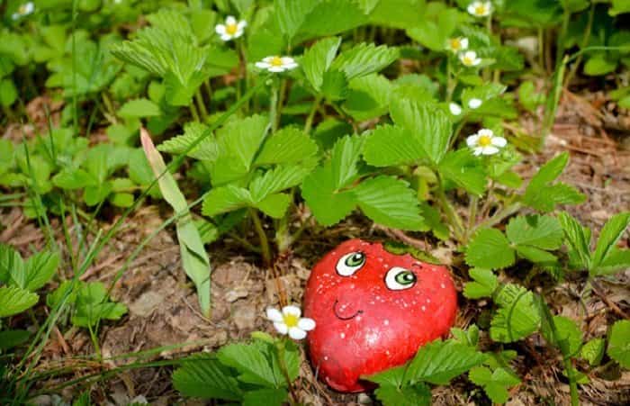 Piedras decorativas jardín