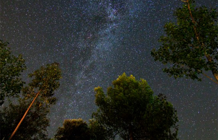Lluvia de estrellas de las Perseidas. Reserva Starlight Sierra Morena