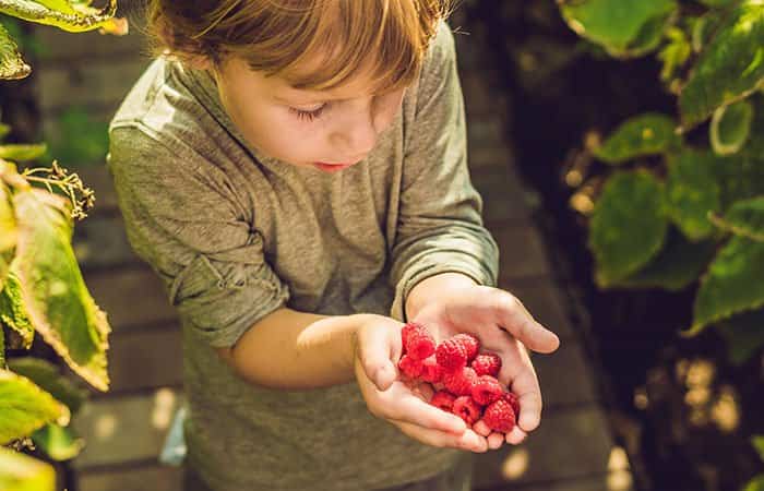 El poder de los superalimentos para la nutrición de nuestros hijos