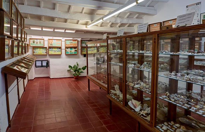 Museo de Ciencias Naturales de Binissues, Menorca