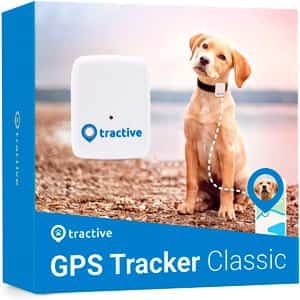 Rastreador Tractive GPS para perros y gatos