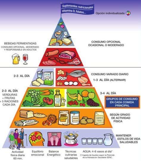 Pirámide alimenticia 2016