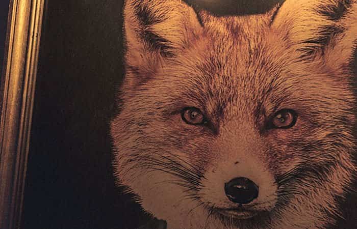El Legado de Mr. Fox, un Escape Room para niños en Madrid