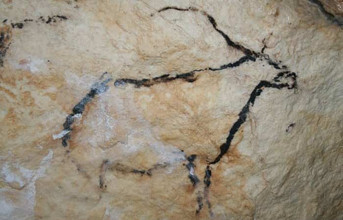 Arte Rupestre en las Cuevas de Nerja