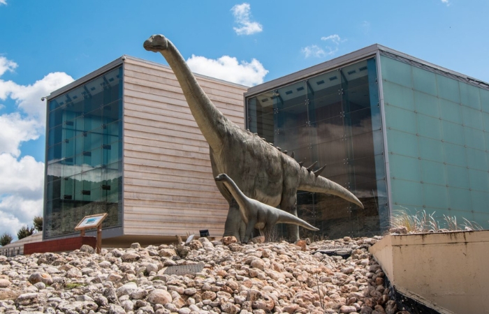Museo Paleontológico de Castilla la Mancha