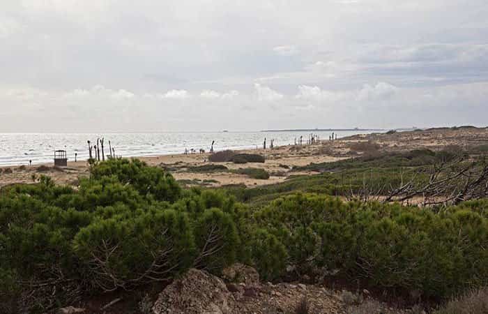 La Playa Carabassi