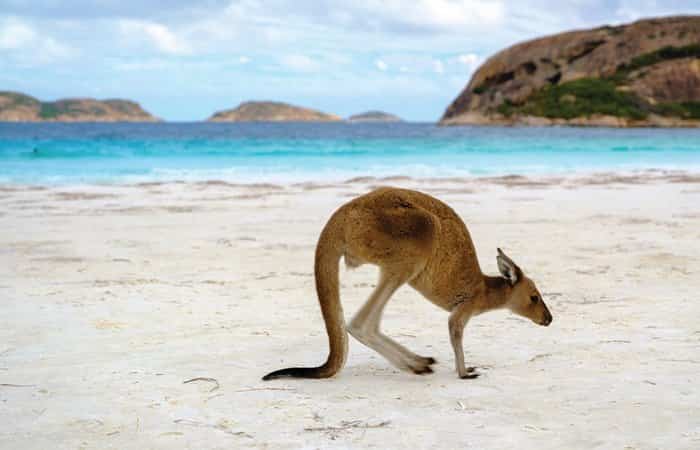 Australia se encuentra en nuestra lista de destinos exóticos y seguros a los que ir con familia