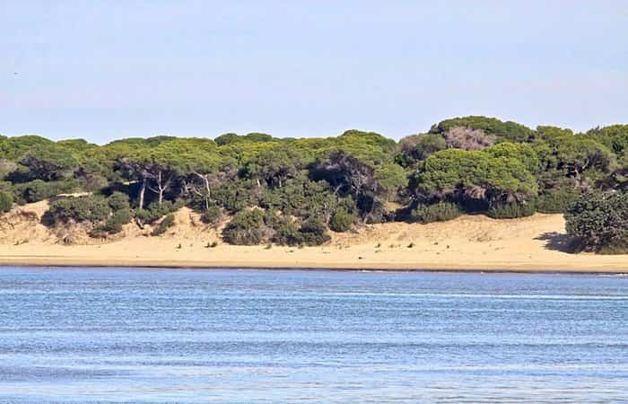 Paseos por la costa de Doñana