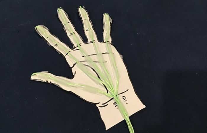 experimentos del cuerpo humano mano articulada