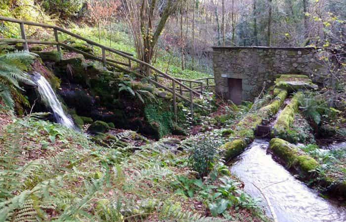 Rías Baixas en otoño: Rutas familiares en la Provincia de Pontevedra