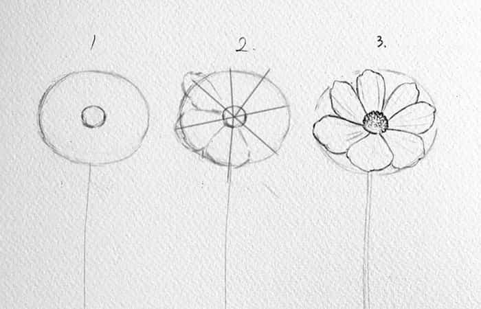 Cómo dibujar flores en tres pasos
