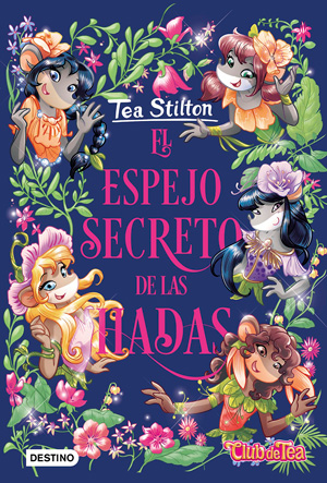 l espejo secreto de las hadas