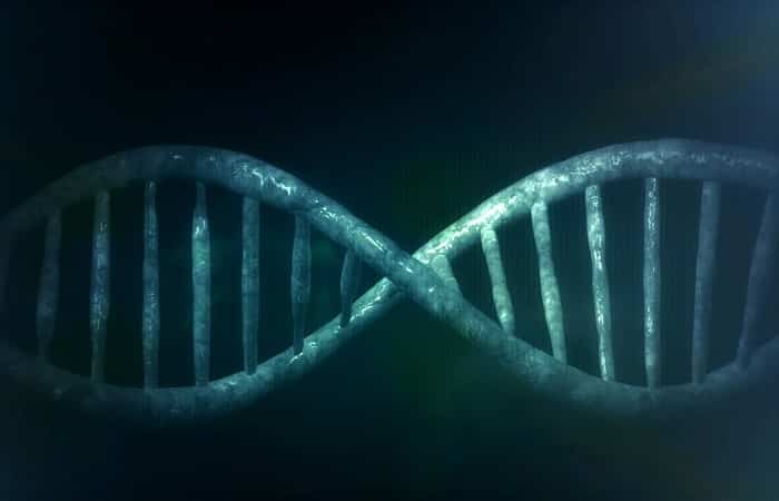 Crear y mantener hábitos saludables influye en la genética