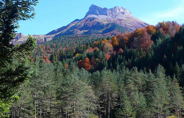 Bosques de Labati en Huesca