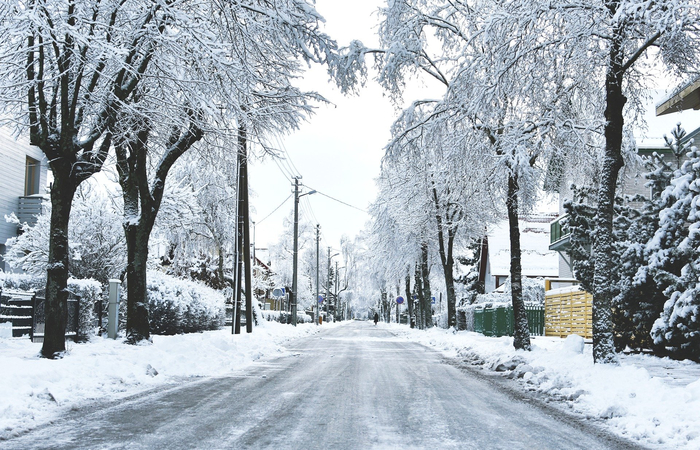 filomena: la ciudad quedó cuibierta de nieve