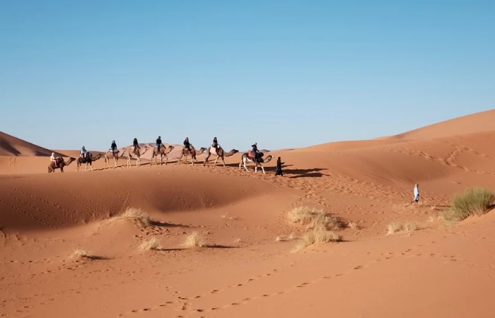 Curiosidades del Desierto del Sáhara