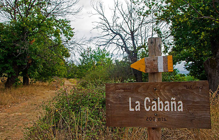 Bosque de Castaños La Cabaña, en el sendero Zofreral de Cobrana, León