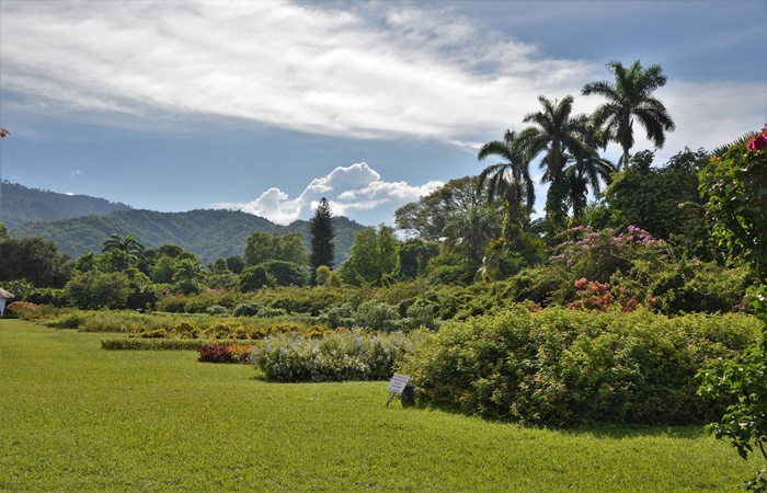 Hope Gardens, Jamaica